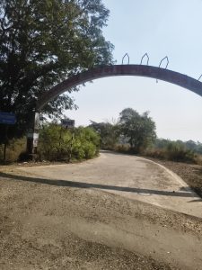 17647457925424406777844665676638 - Manesh Khade